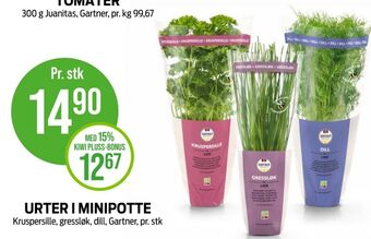 Kiwi Gartner krydderurt tilbud