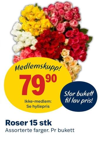Coop Obs Roser 15 stk tilbud