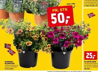 jem & fix Sommer­ blomster tilbud