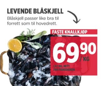 Meny Ukjent blåskjell tilbud