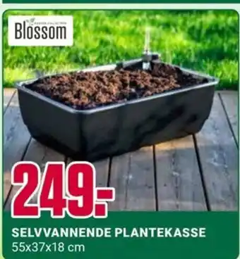 Europris SELVVANNENDE PLANTEKASSE 55x37x18 cm tilbud