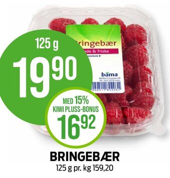 BRINGEBÆR