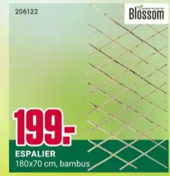 Europris Blossom espaliér tilbud