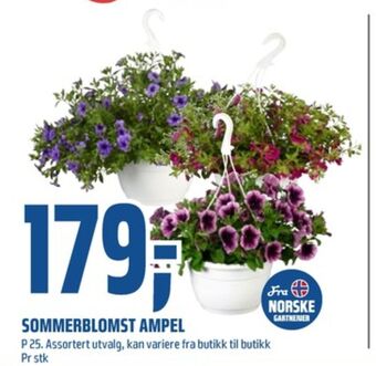 Coop Obs Ukjent plante tilbud