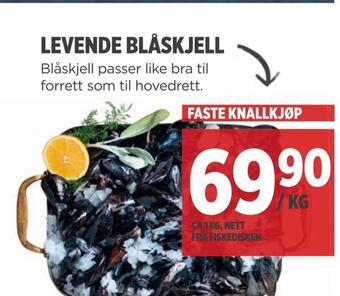 Meny Levende blåskjell tilbud