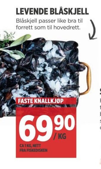 Meny LEVENDE BLÅSKJELL tilbud