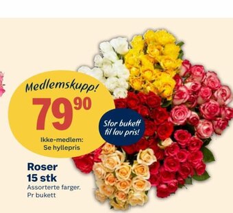 Coop Extra Roser 15 stk tilbud