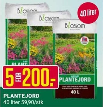 Europris PLANTEJORD tilbud
