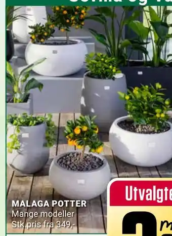 Europris Malaga potter tilbud