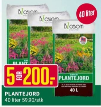 Europris Blossom plantejord tilbud