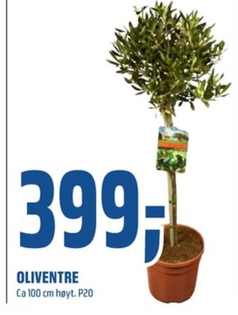 Coop Obs Ukjent plante tilbud