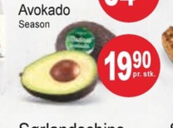 Joker Season avokado tilbud