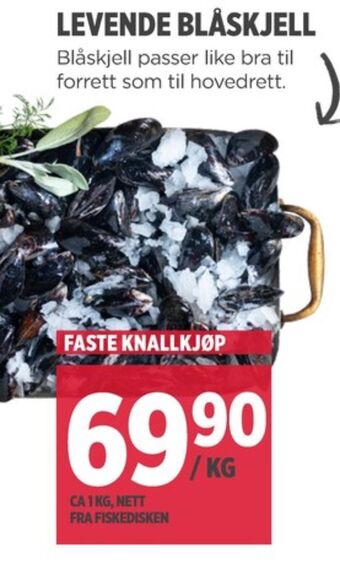 Meny Ukjent blåskjell tilbud