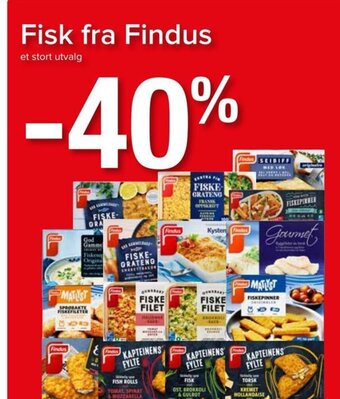 Spar Fisk fra Findus tilbud