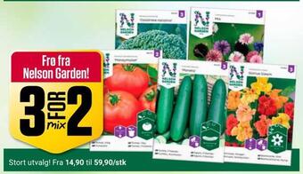 Europris Frø fra nelson garden! tilbud