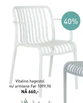 Vitalino hagestol m/ armlene