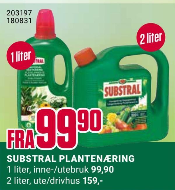 Europris Substral plantenæring tilbud