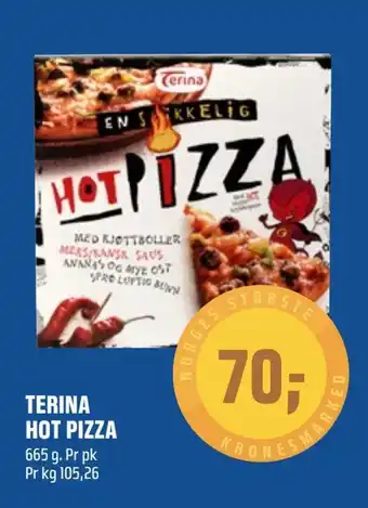 Coop Obs Terina hot pizza tilbud