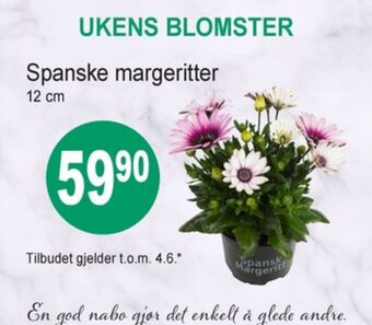 Joker Ukjent blomst tilbud