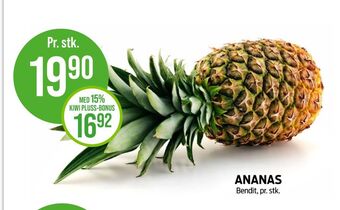 Kiwi Bendit ananas tilbud