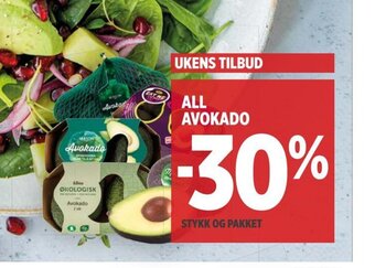 Meny ALL AVOKADO tilbud