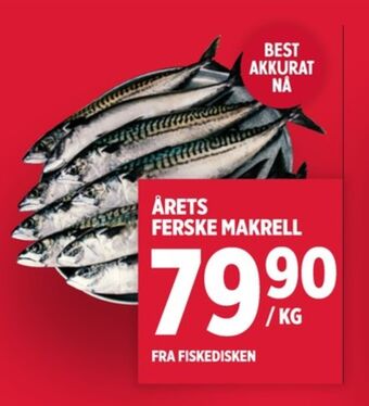 Meny Ukjent makrell tilbud