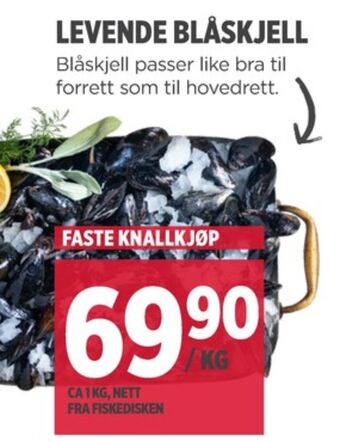 Meny Ukjent blåskjell tilbud
