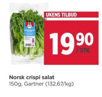Meny Gartner salat tilbud
