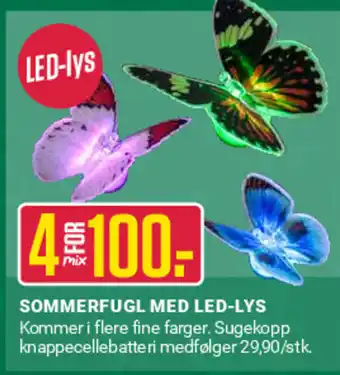 Europris SOMMERFUGL MED LED-LYS tilbud