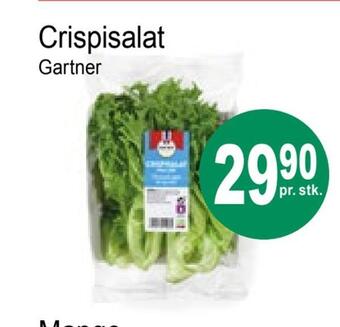 Joker Crispisalat tilbud