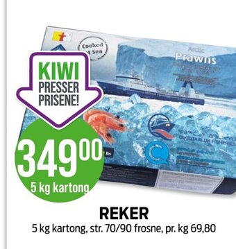 Kiwi REKER tilbud