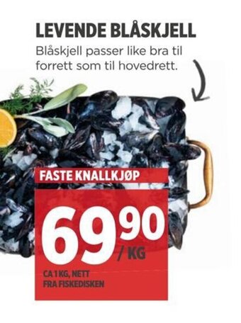 Meny LEVENDE BLÅSKJELL tilbud