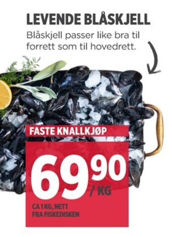 Meny Ukjent blåskjell tilbud
