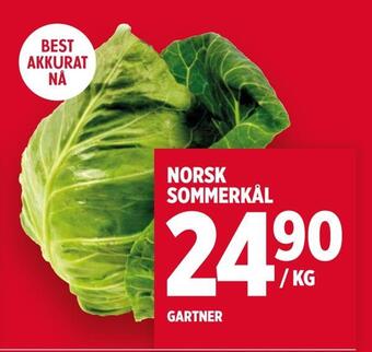 Meny Norsk sommerkål tilbud