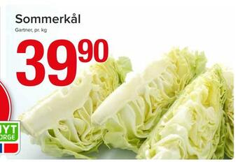 Spar Sommerkål tilbud