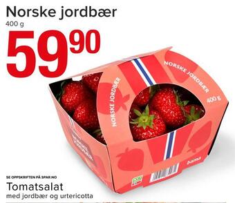 Norske jordbær