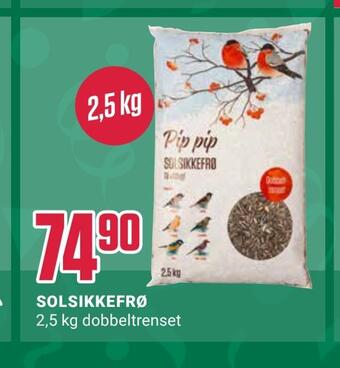 Europris Solsikkefrø tilbud