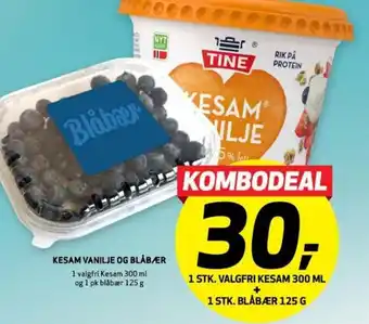Bunnpris KESAM VANILJE OG BLÅBÆR tilbud