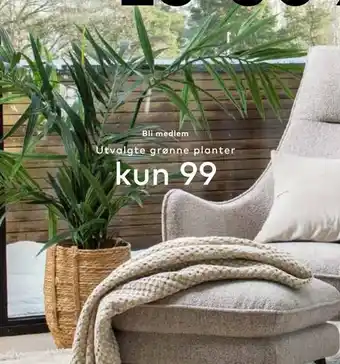 Utvalgte grønne planter