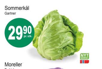 Joker Sommerkål tilbud