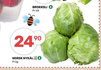 Matkroken Norsk nykål tilbud