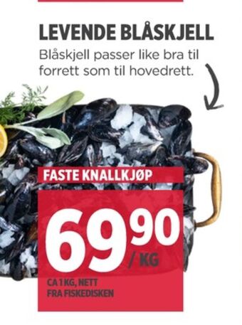Meny Ukjent blåskjell tilbud