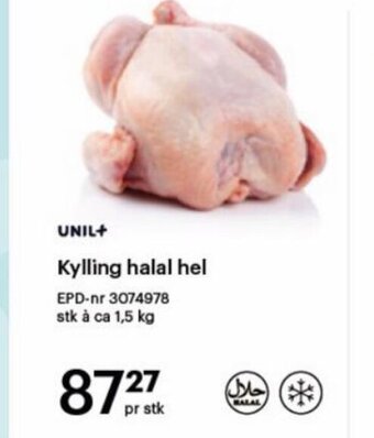 Storcash Kylling halal hel tilbud