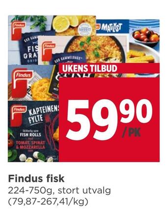Meny Findus fisk tilbud