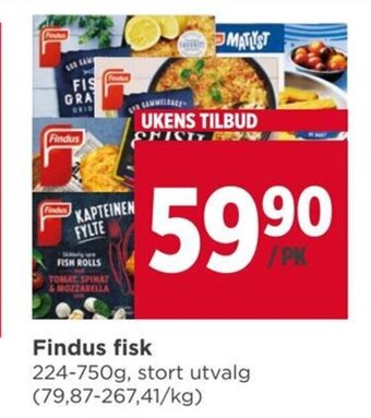 Findus fisk