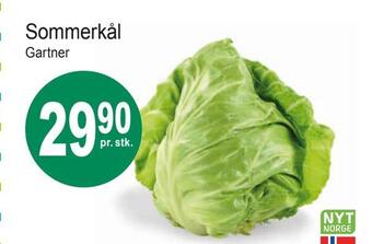 Joker Sommerkål tilbud