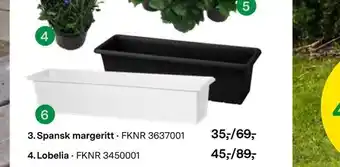 Felleskjøpet Botanica balkongkasse 80 cm svart/hvit tilbud