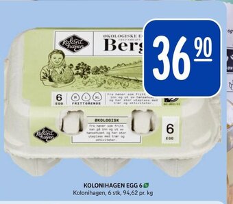 Rema 1000 KOLONIHAGEN EGG 6 tilbud