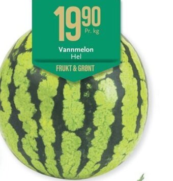 Vannmelon Hel