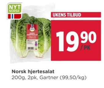 Meny Gartner salat tilbud